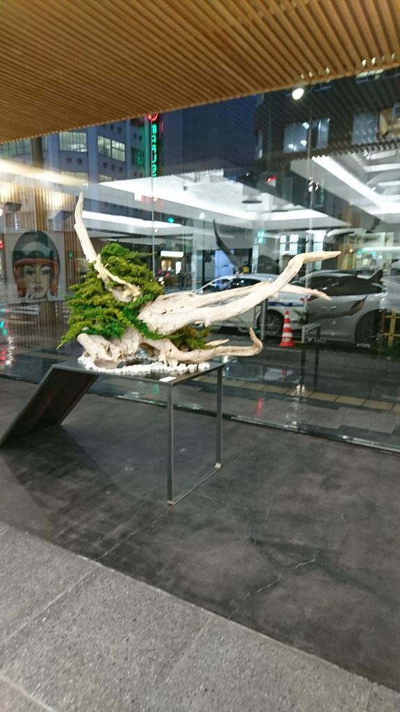 G735Gallery様　DRY BONSAI展