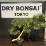 【News】銀座サロンの看板が新しくなりました!