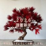2026年・謹賀新年