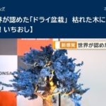 【メディア情報】テレビ朝日公式ニュースサイトにて、特集映像が公開されました